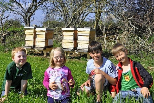 Pro Biene: Firmen sollen Patenschaften für Wiesen übernehmen