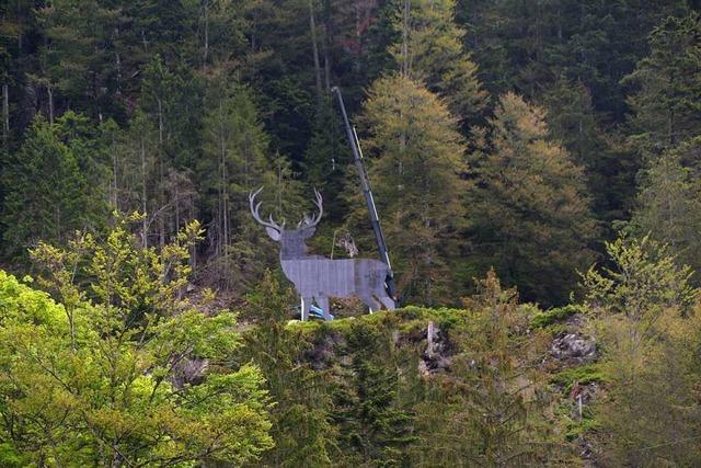 Mega-Hirsch in Todtmoos-Au aufgebaut