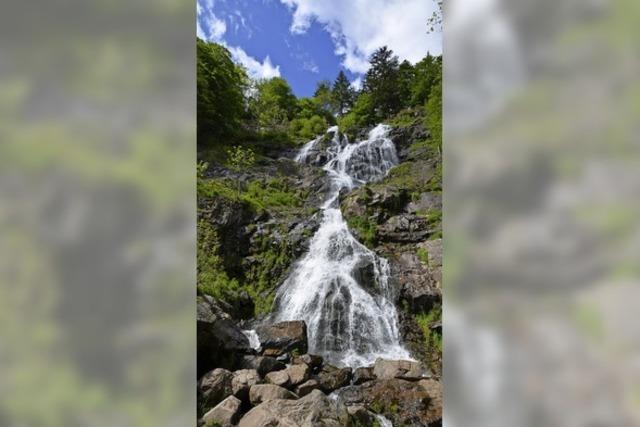 Eine Wanderung zum Todtnauer Wasserfall