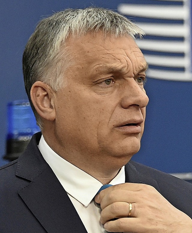 Victor Orban   | Foto: John Thys (dpa)