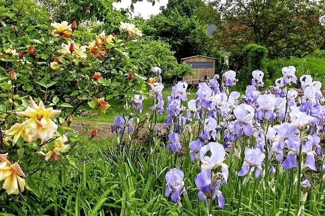 Gartenidylle in Kenzingen