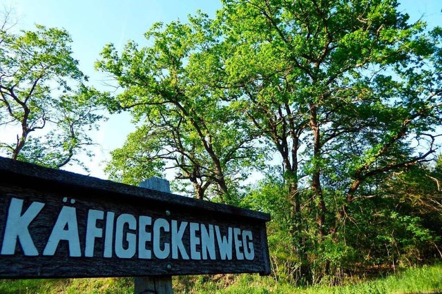 Das Gebiet Kfigecken ist Teil des Naturschutzgebiets Rheinwald Neuenburg.   | Foto: Michael Neubauer