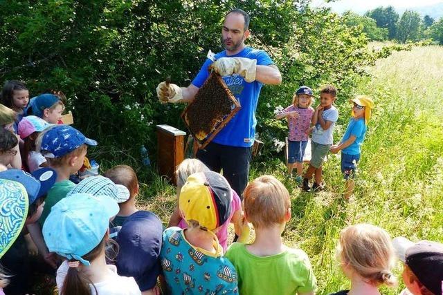 Im Denzlinger Waldkindergarten werden Kinder fr Naturschutz sensibilisiert