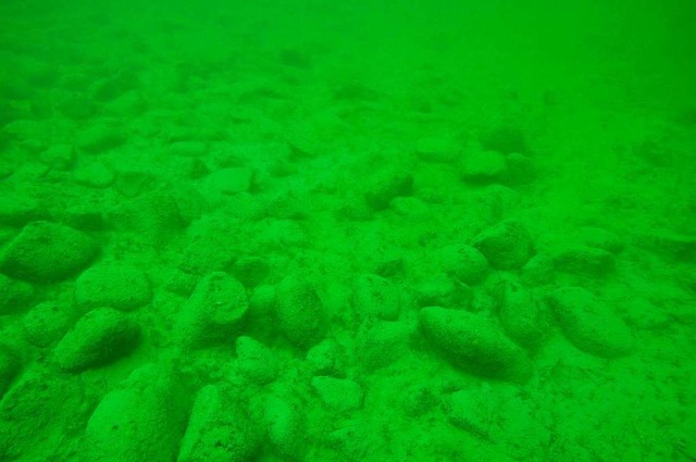 Unterwasseraufnahme von Hgel fnf. Di... aufgeschttet worden, sagen Forscher.  | Foto: Matthias Schnyder (dpa)