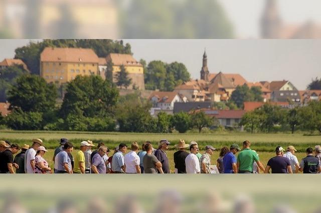 Noch werden gute Ertrge erwartet