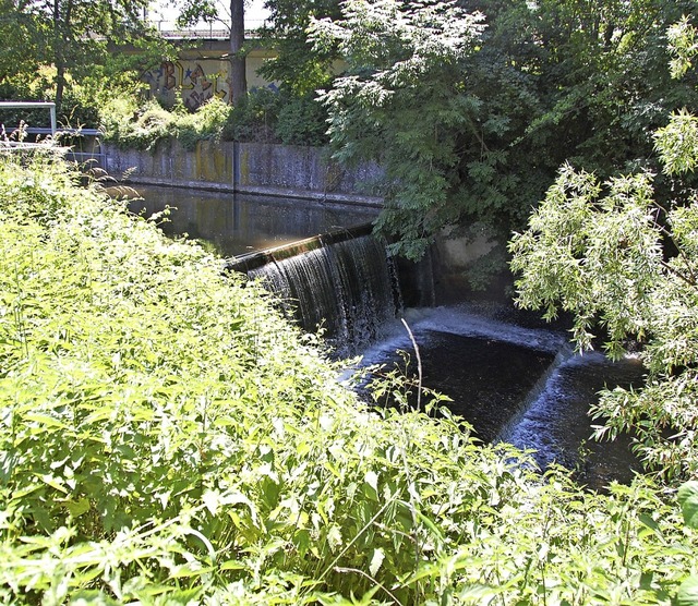 An der alten Wuhranlage an der Kander soll  Strom gewonnen werden.   | Foto: Herbert Frey