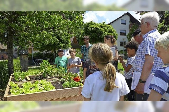 Wenn Schler zu kleinen Gartenexperten werden