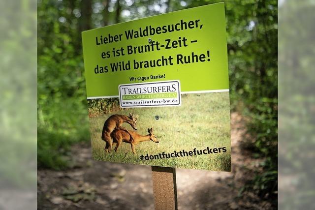 Brunftzeit im Wald