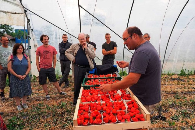 Erdbeerbauern stellten sich Fragen von Verbrauchern.  | Foto: bross
