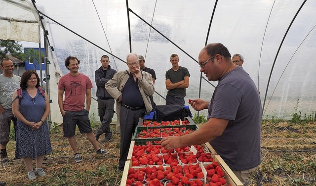 Erdbeerbauern stellten sich Fragen von Verbrauchern.   | Foto: bross