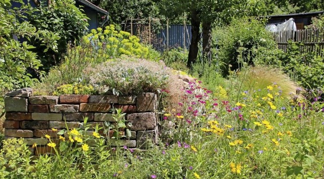 So knnte ein naturnah gestalteter Garten aussehen.   | Foto: Eric Neuling