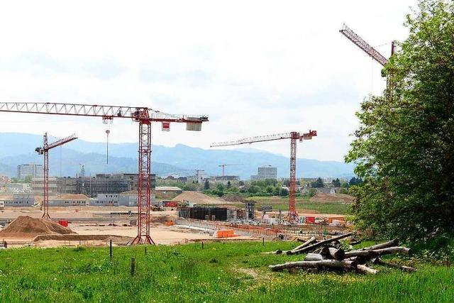 Wie auf der Baustelle fr das SC-Stadion Problempflanzen bekmpft werden