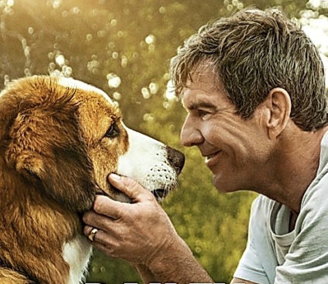 Hund  Bailey, Dennis Quaid  | Foto: Constantin
