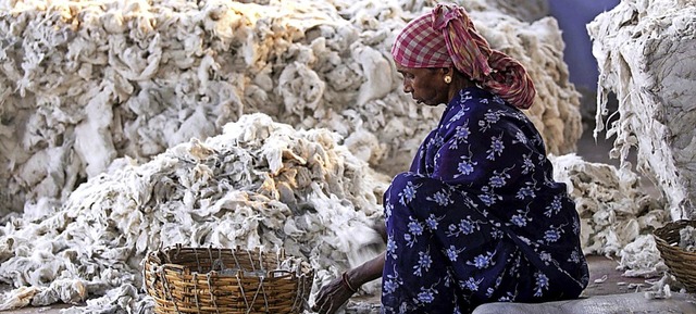 Vergiftete Baumwolle  gefhrdet die Ge...e Frau beim Wollesortieren  in Indien.  | Foto: Piyal Adhikary (dpa)