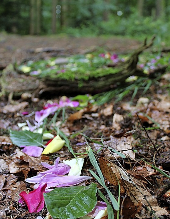 Rosenbltter mischten sich mit Materialien aus dem Wald.  | Foto: Annika Sindlinger