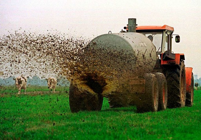 Welche geruchsneutralen Alternativen g...Mittel Melagran scheidet da wohl  aus.  | Foto:  DPA Deutsche Presse-Agentur GmbH