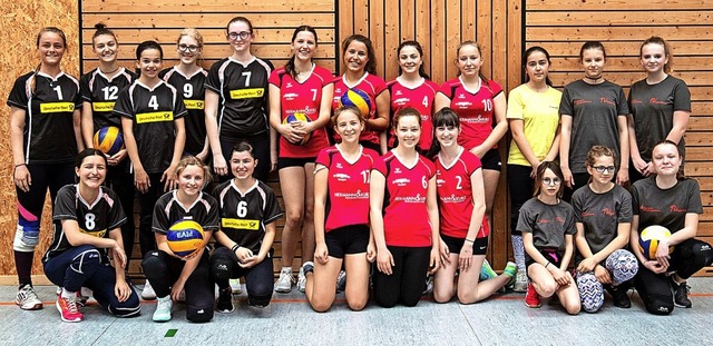 Die erfolgreichen jungen Volleyballeri...dem Turnier. <BZ-Foto>Verein</BZ-Foto> 