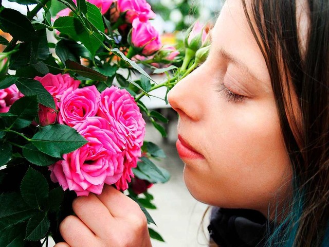 Daniela Schrder vom Blumenhaus Kaufme...irchzarten beschnuppert eine Stammrose  | Foto: Markus Donner