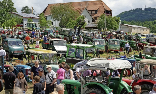 Schlepper- und Bulldogtreffen Oldtimer Freiamt  | Foto: Dieter Erggelet