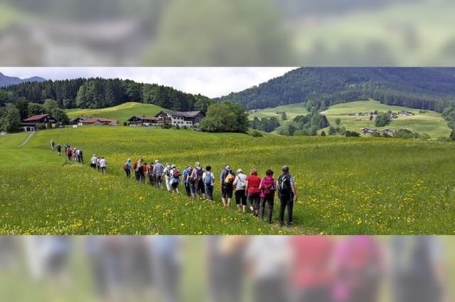 Sonnige Wandertage in Ruhpolding