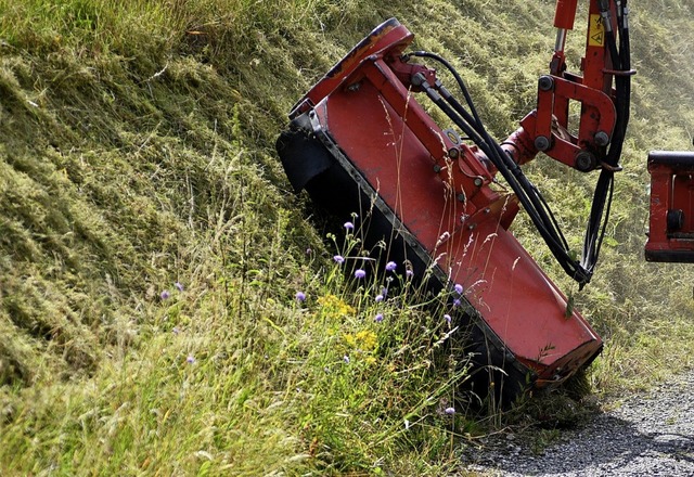 Leser fordern,  Straenrnder im Sinne...lfalt weniger intensiv zu bearbeiten.   | Foto: Ralf Brglin