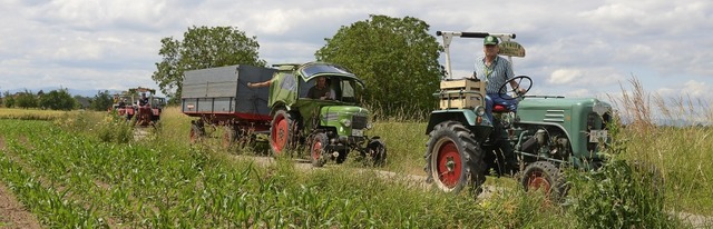 Wyhler Bulldog-Fans fuhren mit ihren Fendt, Prosche und Kramer nach Freiamt.   | Foto: Roland Vitt