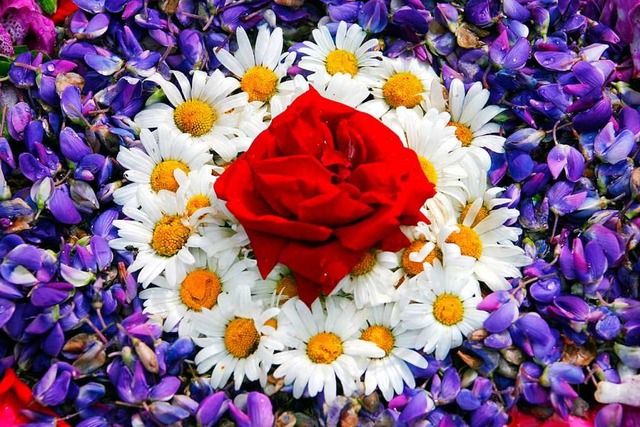 Blumenteppiche sind Tradition zu Fronleichnam.  | Foto: dpa