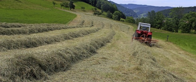   | Foto: Bernd Fackler