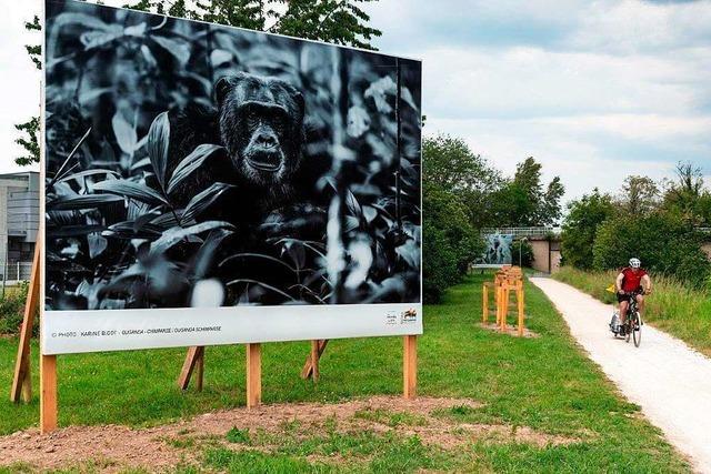 Eine 14 Kilometer lange Open-Air-Galerie zieht sich den Canal du Huningue entlang