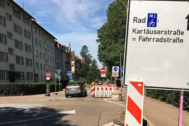 Autofahrer ignorieren Verbotsschilder in Freiburg und werden zu Geisterfahrern