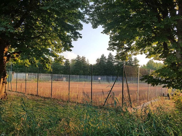 Auf den Courts wurden schon lange keine  Tennisspieler mehr gesehen.  | Foto: Wolfram Khli