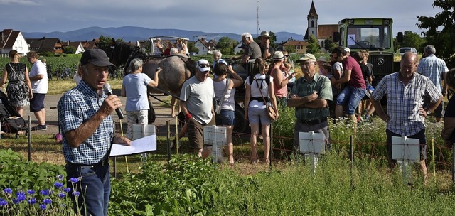 Karl Witzigmann (mit Mikrofon) fhrt durch &#8222;sein&#8220; Schaufeld in Reute  | Foto: Benedikt Sommer