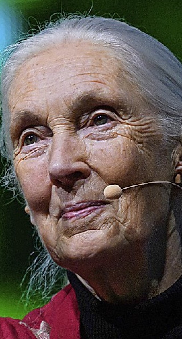 Jane Goodall  | Foto: Sven Hoppe (dpa)