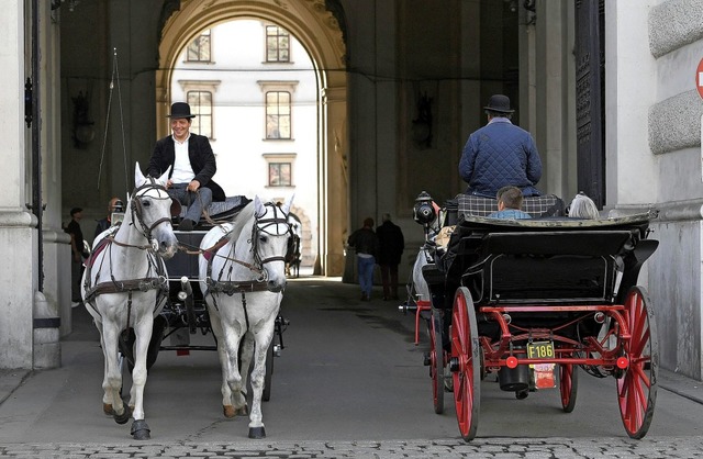 Von  Touristen geschtzt, von Tiersch...ekmpft: Fiaker in der Wiener Altstadt  | Foto: Helmut Fohringer (dpa)
