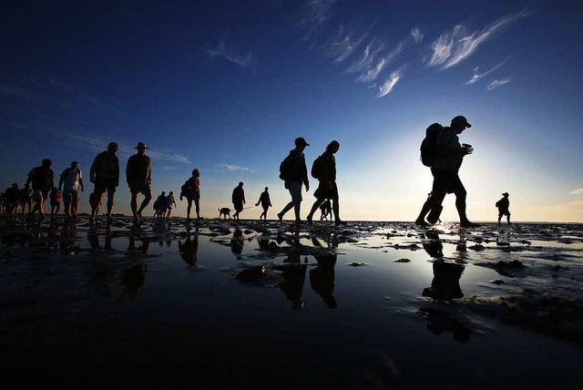 Eine Wattwanderung ist einer der Hhepunkte eines Nordsee-Urlaubs.  | Foto: Christian Charisius (dpa)