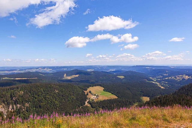 Der Blick vom Feldberg ist nicht ohne Grund berhmt.  | Foto: Hochschwarzwald Tourismus GmbH