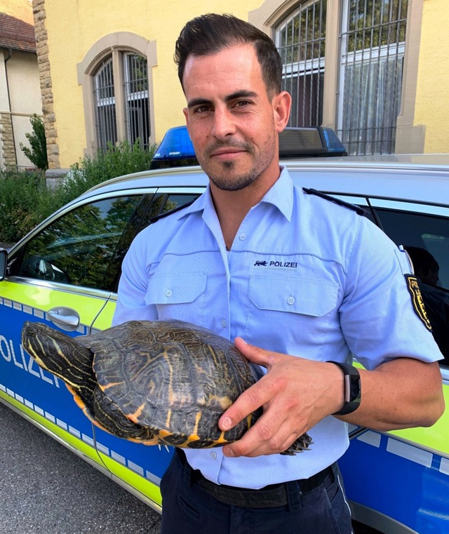 Die Polizei in Mllheim hat eine Schildkrte gefunden.  | Foto: Polizeirevier Mllheim