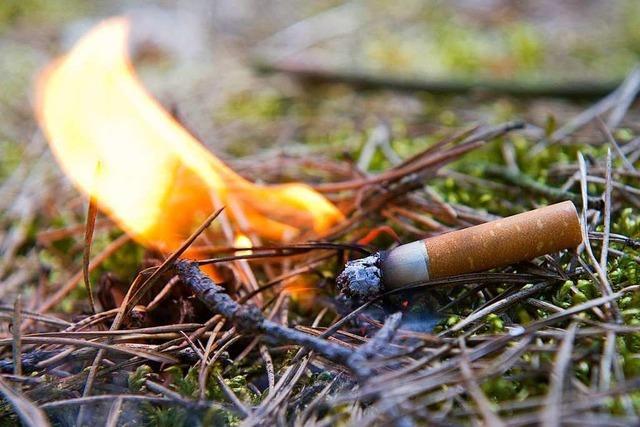 Meteorologen erwarten heies Wochenende – hohe Waldbrandgefahr