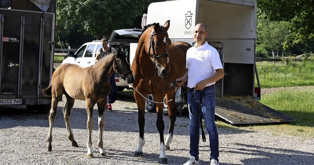 David Fux aus der Schweiz ist mit sein...r beim Fohlenchampionat in Kenzingen.   | Foto: Christiane Franz