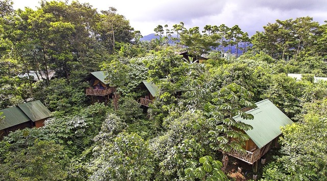 Wohnen inmitten des Urwalds kann man i...Tigra Rainforest Lodge in Costa Rica.   | Foto: Reiseveranstalter