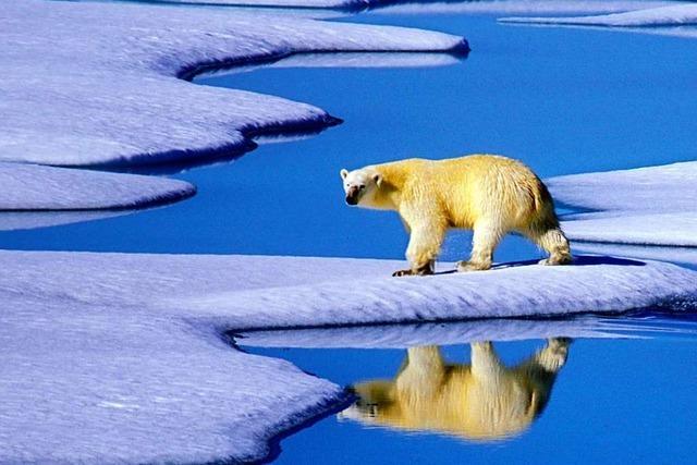 Klimakonferenz ohne Bewegung