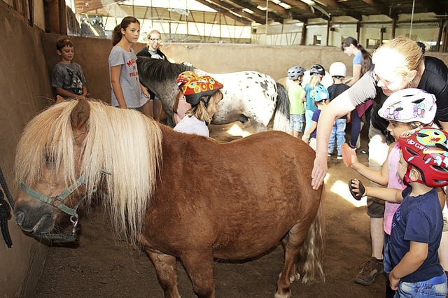 Spa und Spiel im Ponyclub: Auch diese...den kleinen Pferdchen gegangen werden.  | Foto: Anja Bertsch