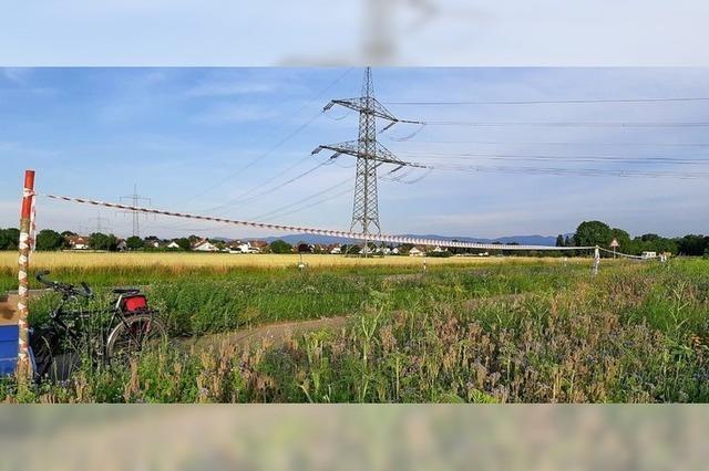 Widerstand gegen Hochspannungstrasse formiert sich