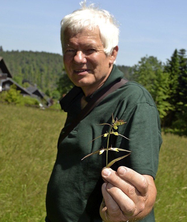 Hier hlt Gerrit Mller einen  Halm des Wiesenwachtelweizens in der Hand.  | Foto: Liane Schilling