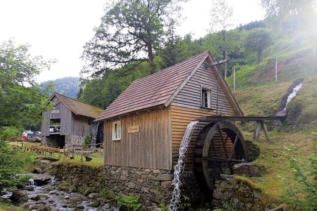 Zeitreisen-Tour ins Ettersbachtal