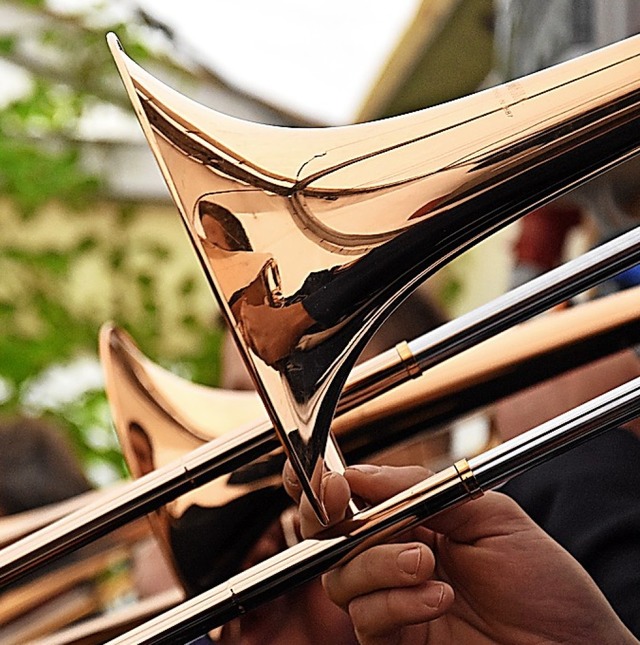 Musik steht im Mittelpunkt des Gartenfestes Siensbach.   | Foto: Jonas Hirt