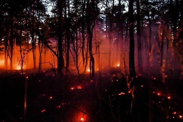 Waldbrandgefahr in Baden-Wrttemberg am Sonntag hoch bis sehr hoch