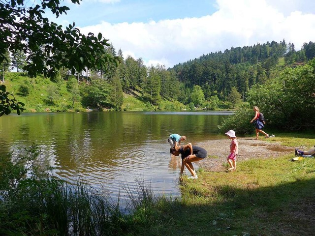 Angenehm zum Baden: Der Nonnenmattweiher (22 Grad).  | Foto: Angelika Schmidt