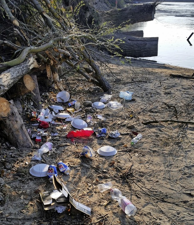 Umweltsnder entsorgen ihren Mll am R... Dabei gelangt Plastik in den Fluss.    | Foto:  Fischereiverein Bad Sckingen
