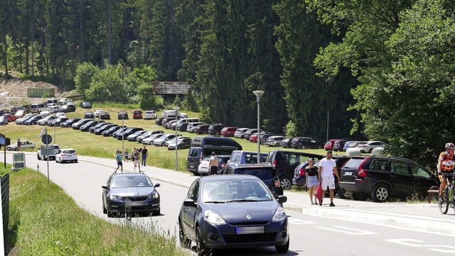 Titisee-Besucher stellen ihr Auto einfach auf der Wiese ab.   | Foto: Eva Korinth